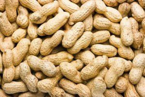 Иран импортировал более 4 124 тонн арахиса